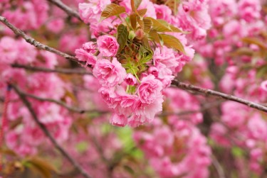 绍兴嵊州5线下个人借款平台一站式服务，轻松解决资金难题