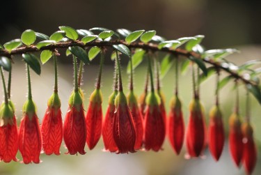 绍兴嵊州5零用贷短借：轻松解决临时资金需求