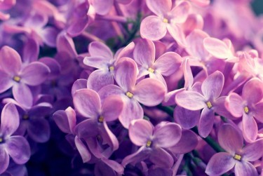 绍兴嵊州5企业急用钱贷款攻略：快速融资解燃眉之急